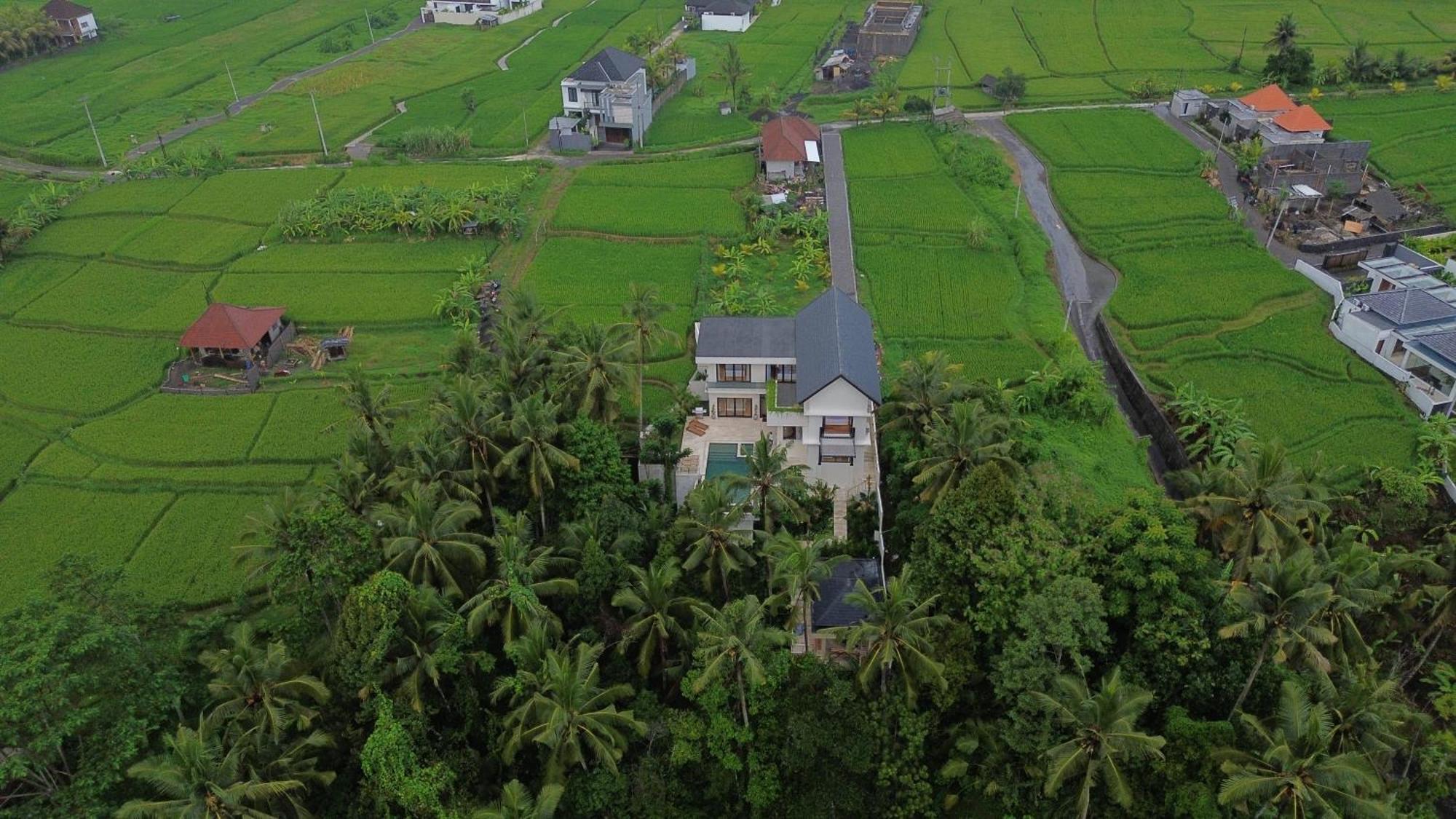 Honey Villa Ubud By Island Escape Dış mekan fotoğraf